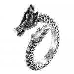 FSR21W56 Dragon  ring