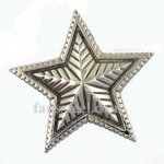 FSP17W45 star snow flower Pendant invisable bail